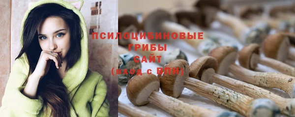 ПСИЛОЦИБИНОВЫЕ ГРИБЫ Весьегонск