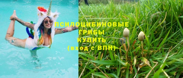 каннабис Арсеньев